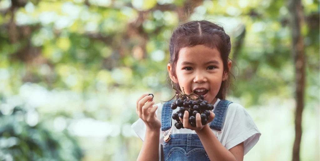 Photographe scolaire en Nouvelle-Aquitaine